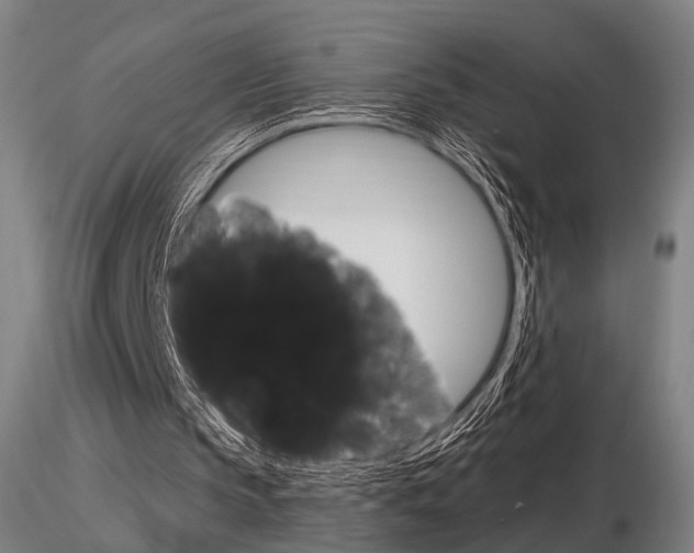 X0000116850145200912220949