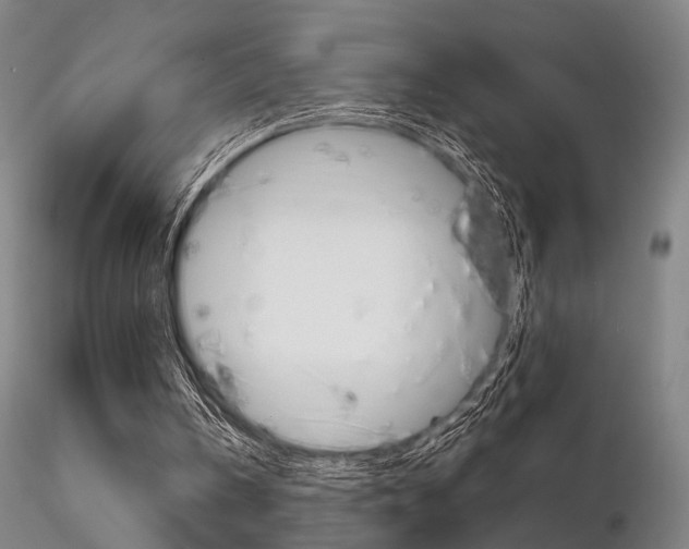 X0000116850146200912220949