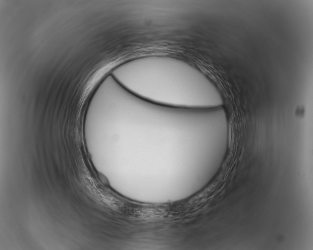 X0000116850147200912220949