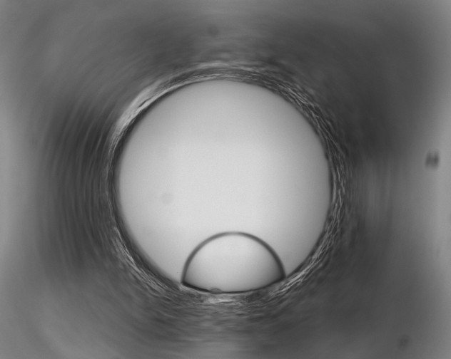 X0000116850150200912220949