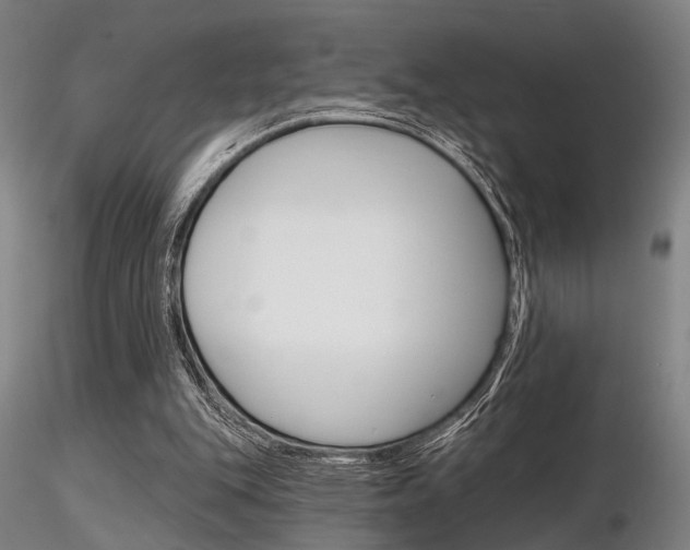 X0000116850151200912220949