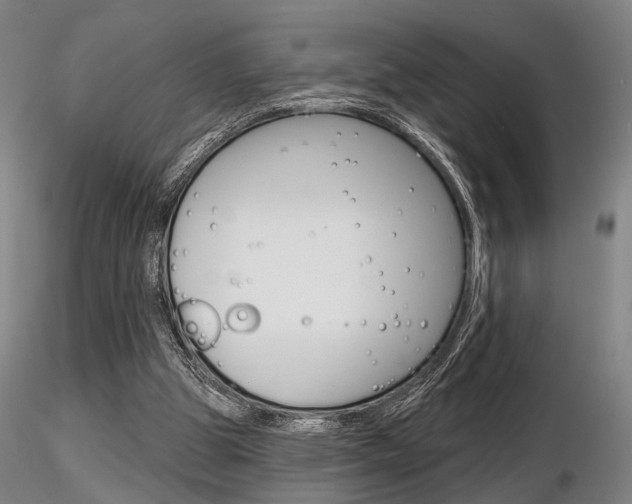 X0000116850153200912220949