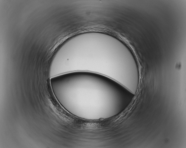 X0000116850154200912220949