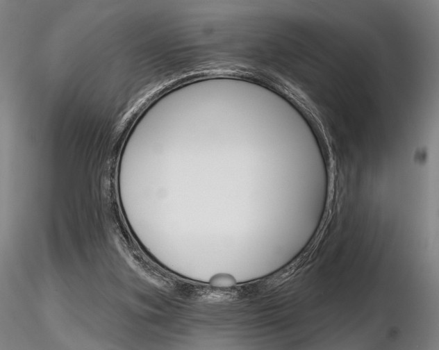 X0000116850155200912220949