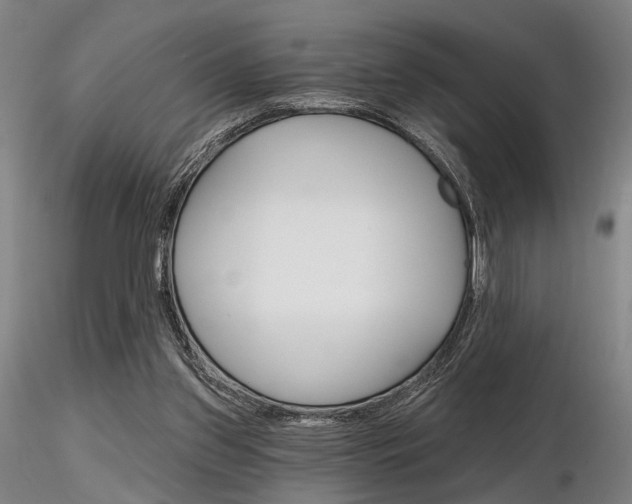 X0000116850157200912220949