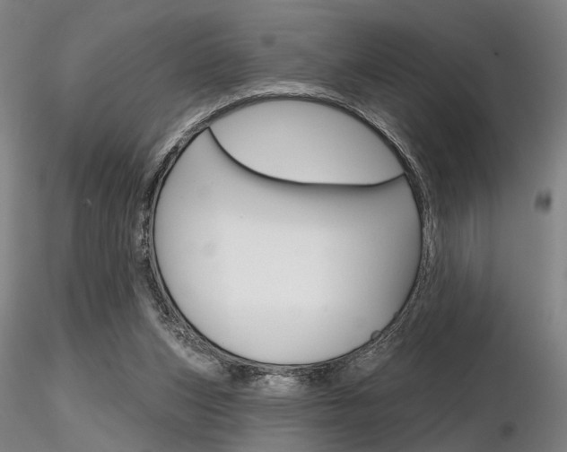 X0000116850159200912220949