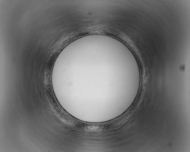 X0000116850161200912220949