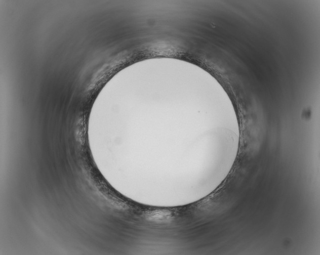 X0000116850162200912220949