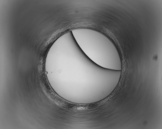 X0000116850163200912220949