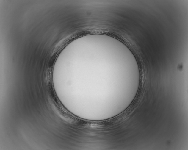 X0000116850165200912220949