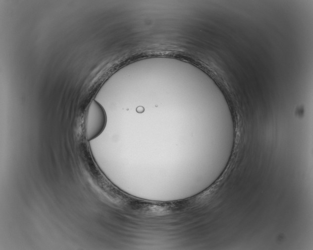 X0000116850166200912220949