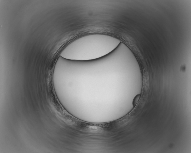 X0000116850167200912220949