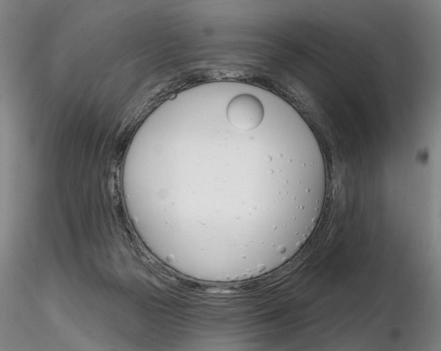 X0000116850169200912220949
