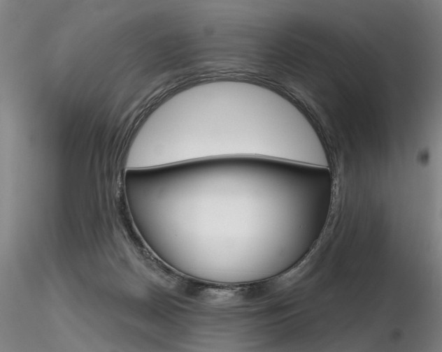 X0000116850170200912220949