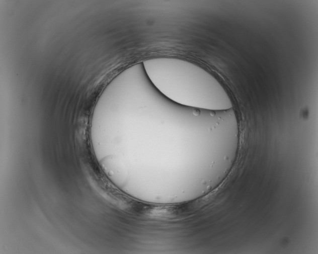 X0000116850171200912220949