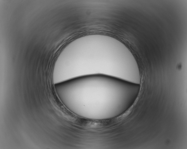 X0000116850174200912220949