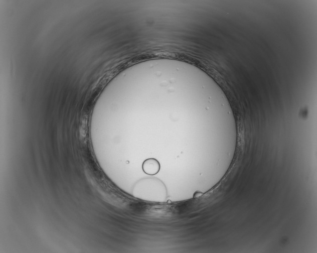 X0000116850175200912220949