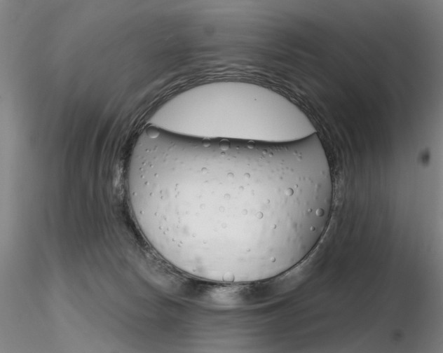 X0000116850178200912220949