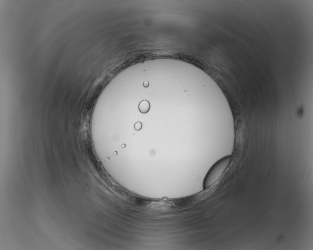 X0000116850179200912220949