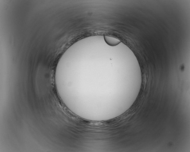X0000116850181200912220949
