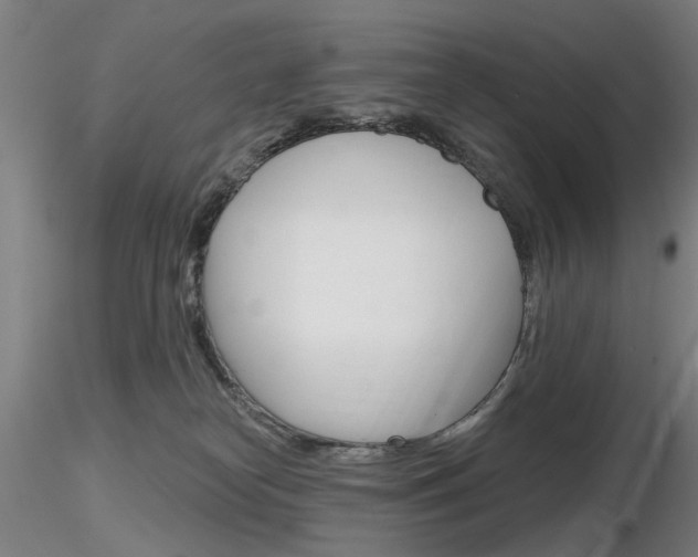 X0000116850182200912220949