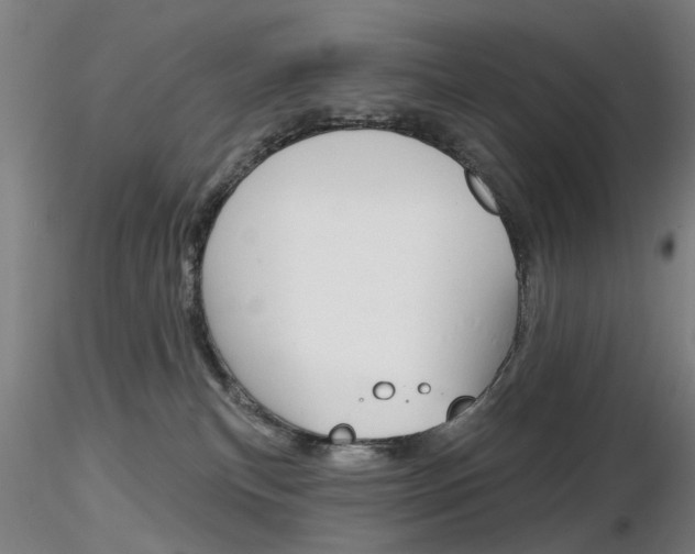 X0000116850183200912220949