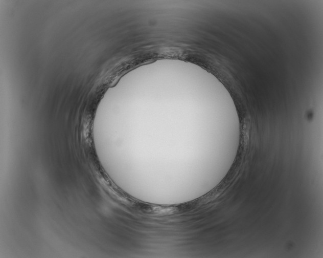 X0000116850185200912220949