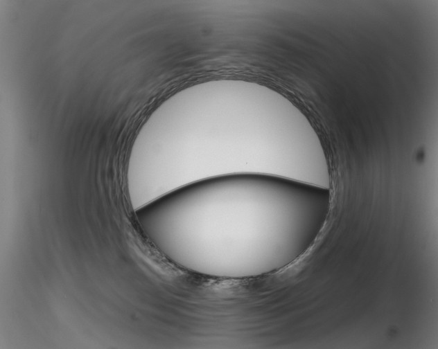 X0000116850186200912220949