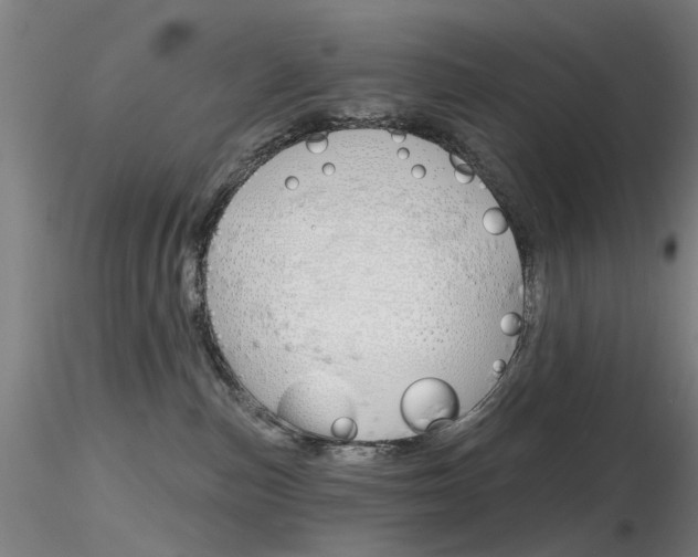 X0000116850187200912220949