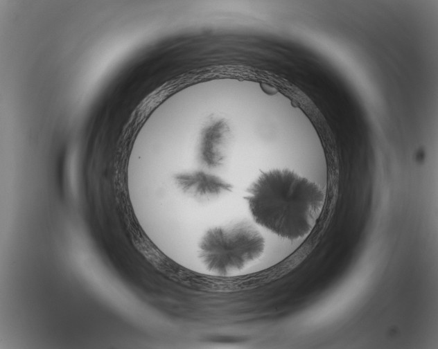 X0000116850189200912220949
