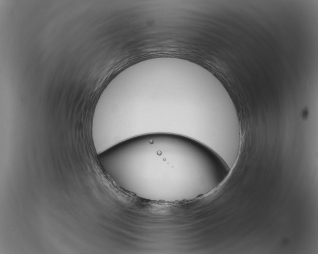 X0000116850190200912220949