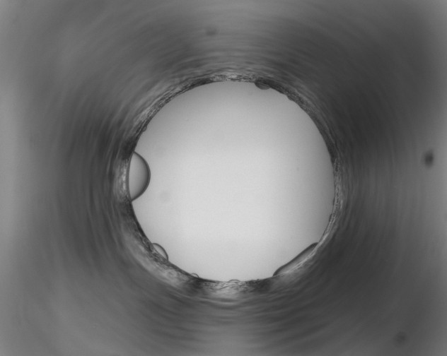 X0000116850191200912220949