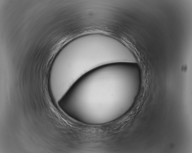 X0000116850193200912220949