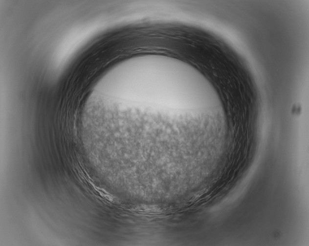 X0000116850194200912220949