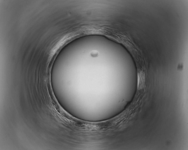 X0000116850195200912220949