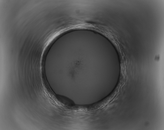 X0000116850196200912220949