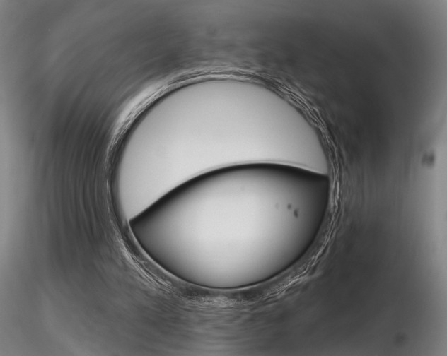 X0000116850197200912220949