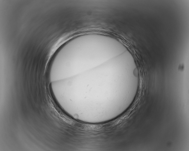 X0000116850198200912220949