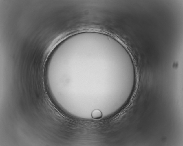 X0000116850199200912220949