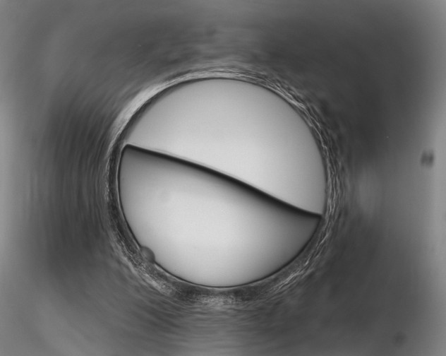 X0000116850200200912220949
