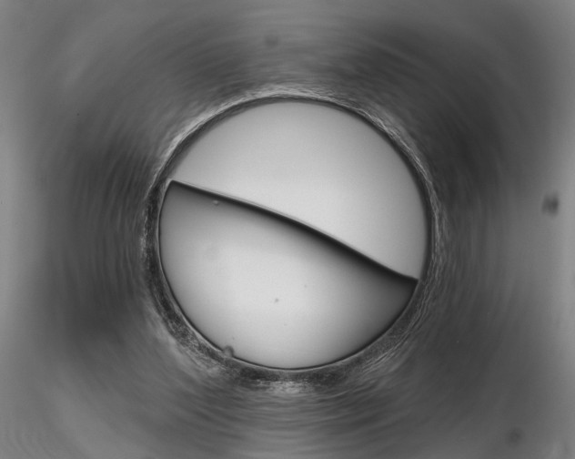 X0000116850204200912220949