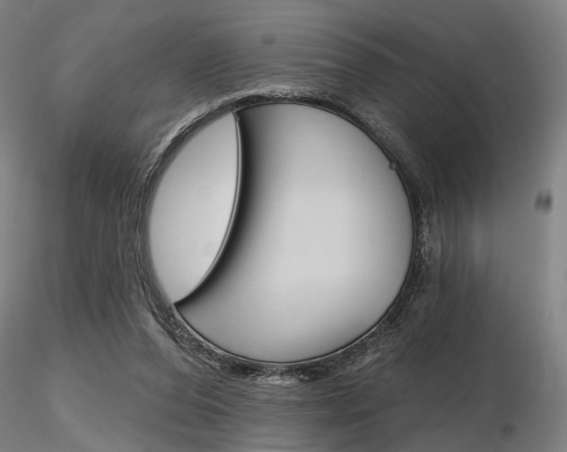 X0000116850208200912220949