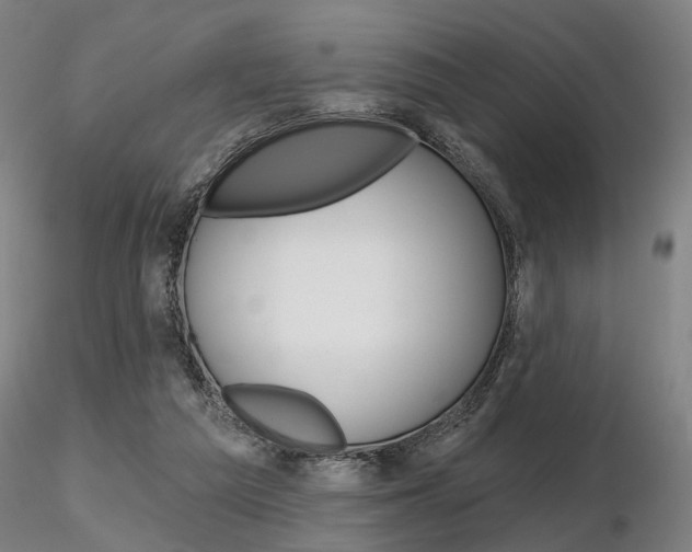 X0000116850209200912220949