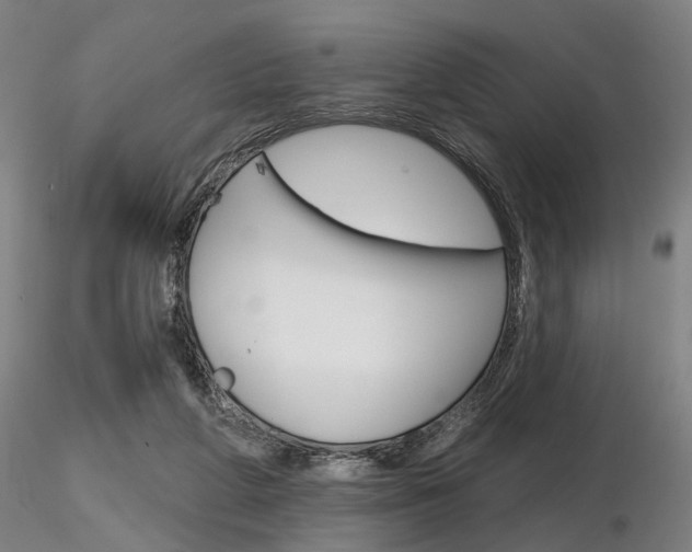 X0000116850210200912220949