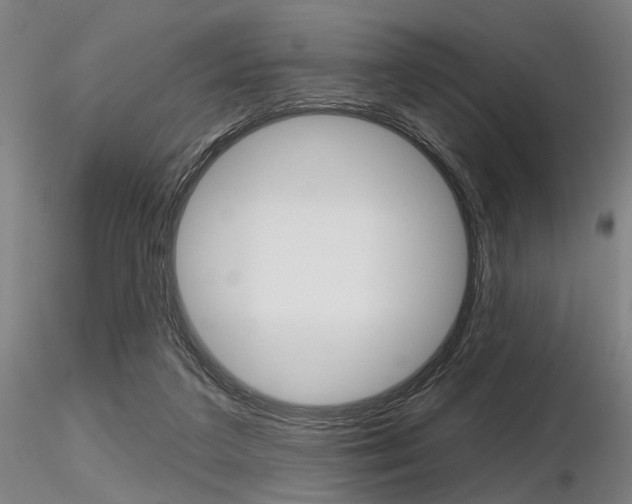 X0000116850211200912220949