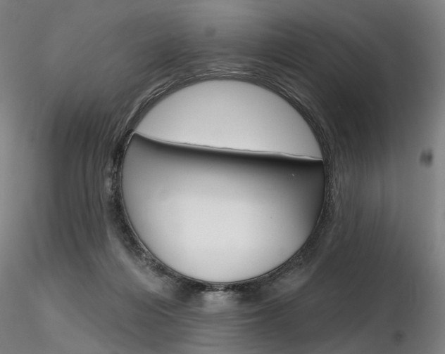 X0000116850216200912220948