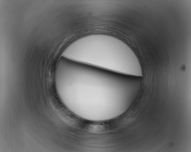 X0000116850220200912220948