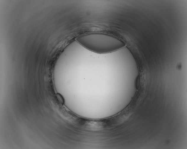 X0000116850221200912220948