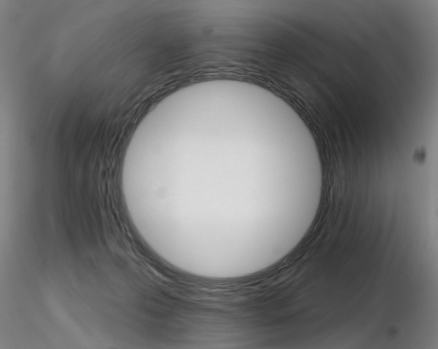 X0000116850223200912220948