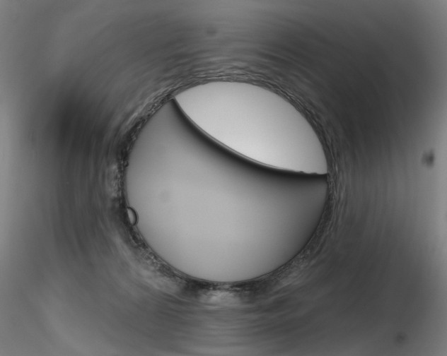 X0000116850224200912220948